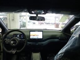 BYD DOLPHIN MINI GL 2027 completo