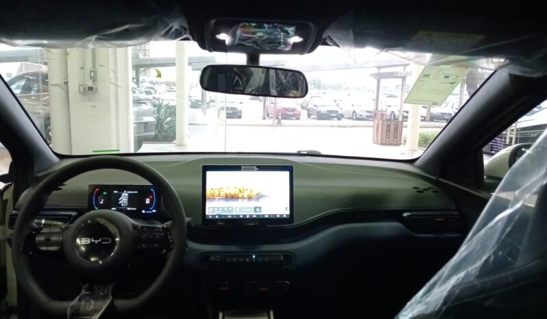 BYD DOLPHIN MINI GL 2027 completo