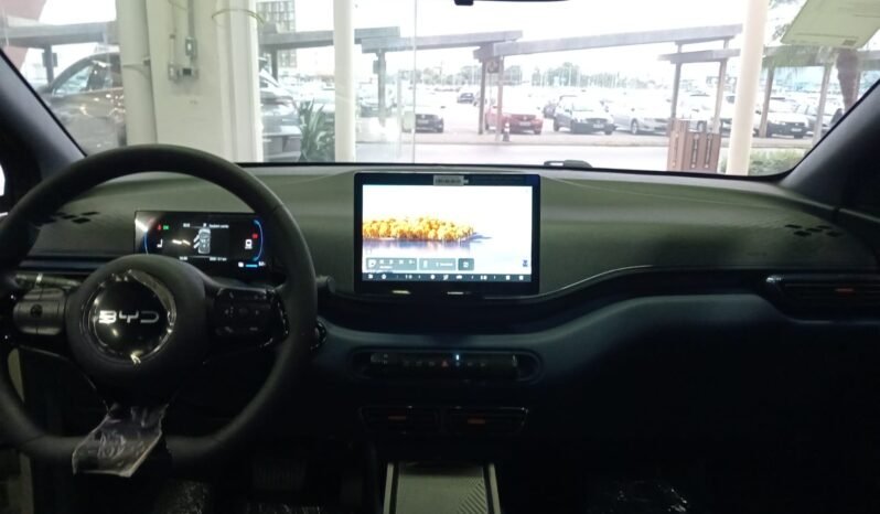 BYD DOLPHIN MINI GL 2027 completo
