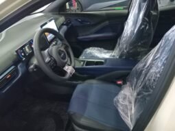 BYD DOLPHIN MINI GL 2027 completo