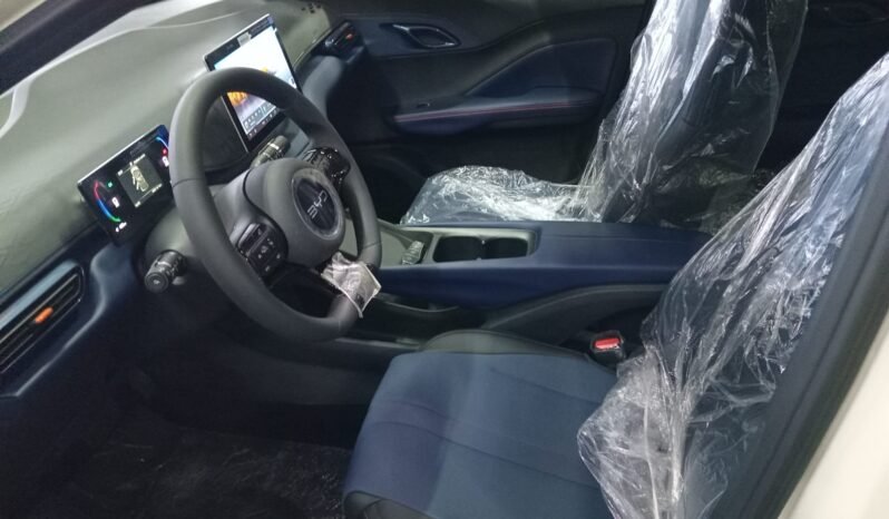 BYD DOLPHIN MINI GL 2027 completo
