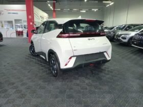 BYD DOLPHIN MINI GL 2027
