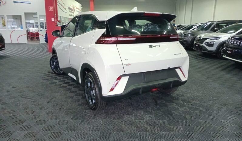 BYD DOLPHIN MINI GL 2027 completo