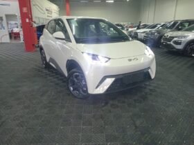 BYD DOLPHIN MINI GL 2027
