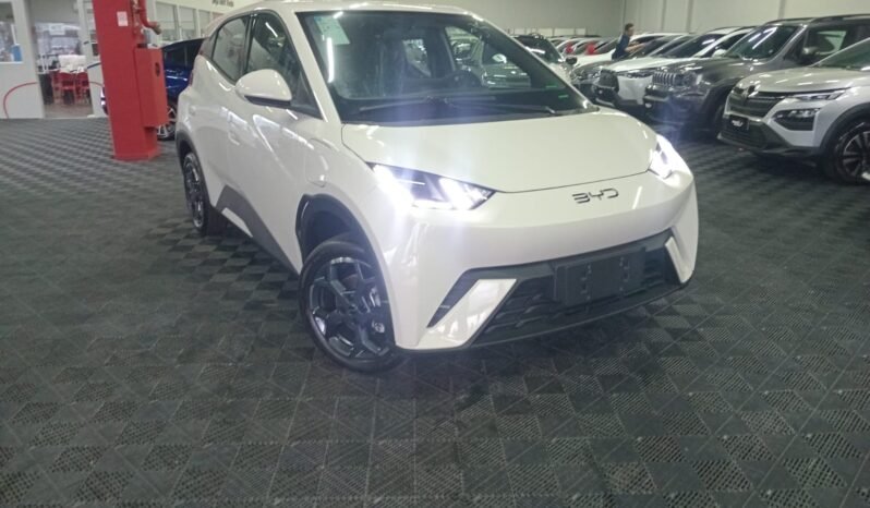 BYD DOLPHIN MINI GL 2027 completo