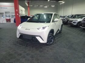 BYD DOLPHIN MINI GL 2027