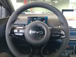 BYD Dolphin Mini GL 2027 completo