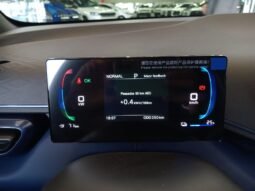 BYD Dolphin Mini GL 2027 completo
