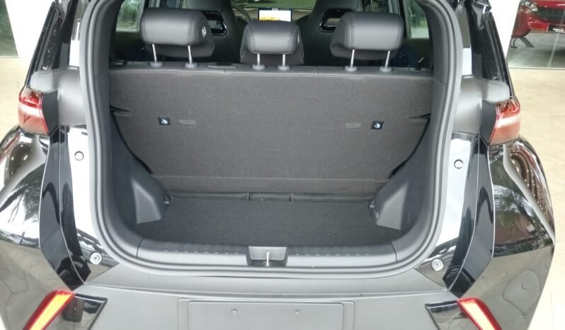 BYD Dolphin Mini GL 2027 completo