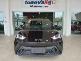 BYD Dolphin Mini GL 2027