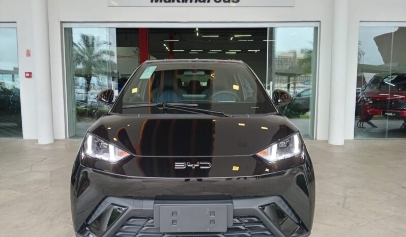 BYD Dolphin Mini GL 2027 completo