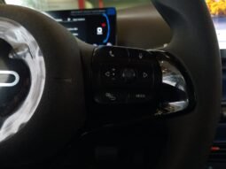 BYD Dolphin Mini GL 2027 completo