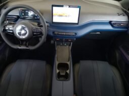 BYD Dolphin Mini GL 2027 completo