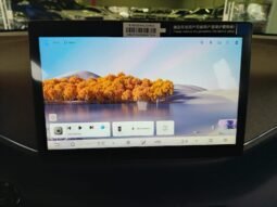 BYD Dolphin Mini GL 2027 completo