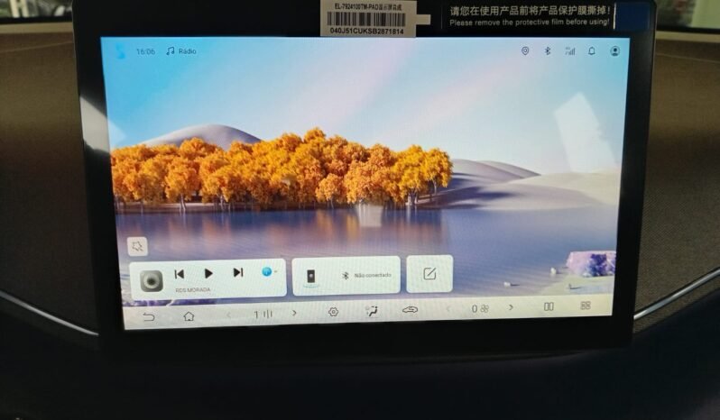 BYD Dolphin Mini GL 2027 completo