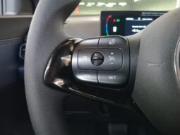 BYD Dolphin Mini GL 2027 completo