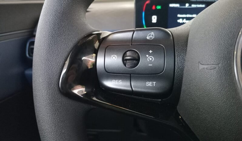 BYD Dolphin Mini GL 2027 completo