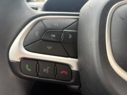 Fiat ARGO TREKKING 2025 completo