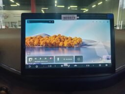 BYD Dolphin Mini GL 2027 completo