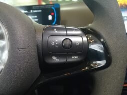 BYD Dolphin Mini GL 2027 completo