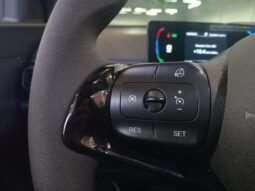 BYD Dolphin Mini GL 2027 completo