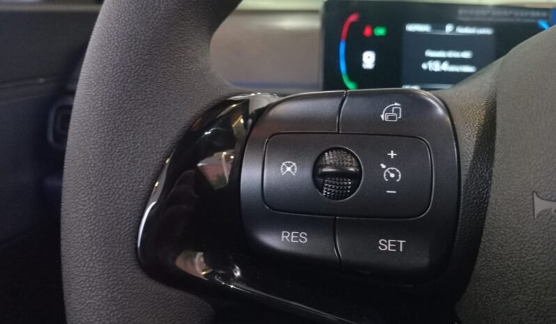 BYD Dolphin Mini GL 2027 completo