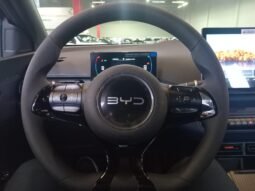 BYD Dolphin Mini GL 2027 completo