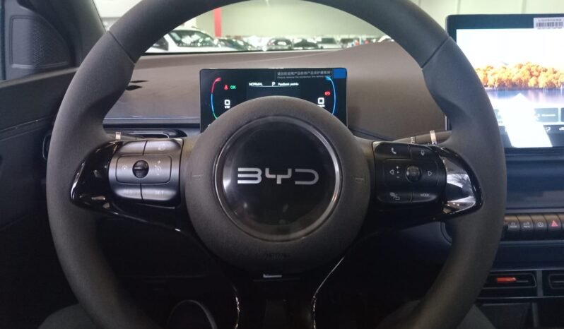 BYD Dolphin Mini GL 2027 completo