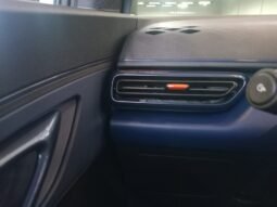 BYD Dolphin Mini GL 2027 completo