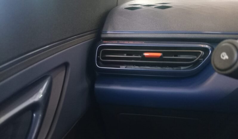 BYD Dolphin Mini GL 2027 completo