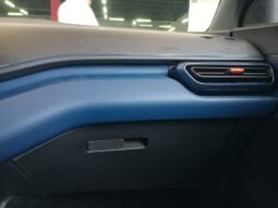 BYD Dolphin Mini GL 2027 completo