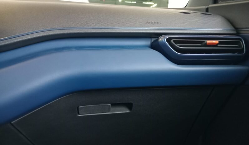 BYD Dolphin Mini GL 2027 completo