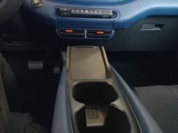 BYD Dolphin Mini GL 2027 completo