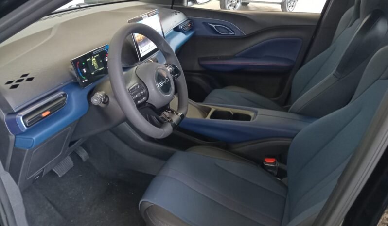BYD Dolphin Mini GL 2027 completo