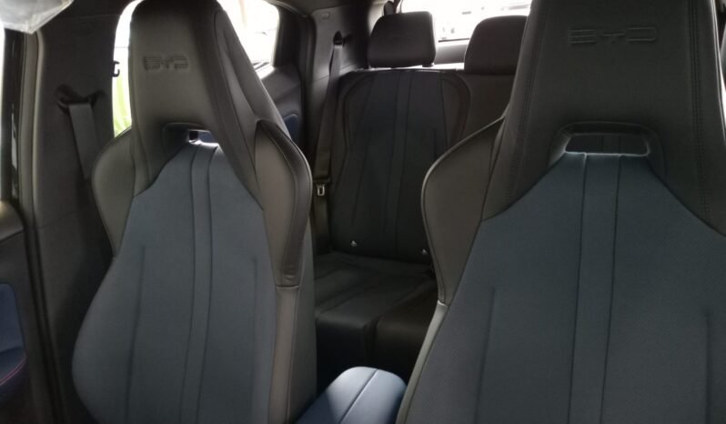 BYD Dolphin Mini GL 2027 completo
