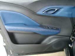 BYD Dolphin Mini GL 2027 completo