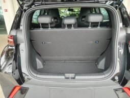 BYD Dolphin Mini GL 2027 completo