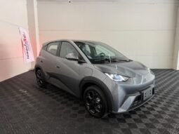 BYD Dolphin Mini GS 2027