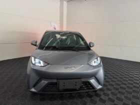 BYD Dolphin Mini GS 2027