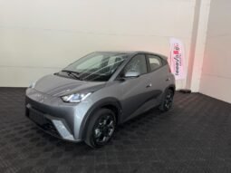 BYD Dolphin Mini GS 2027