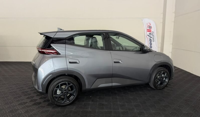 BYD Dolphin Mini GS 2027 completo