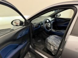 BYD Dolphin Mini GS 2027 completo