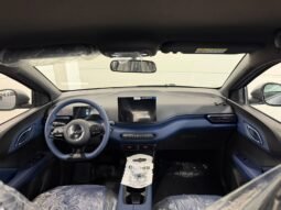 BYD Dolphin Mini GS 2027 completo