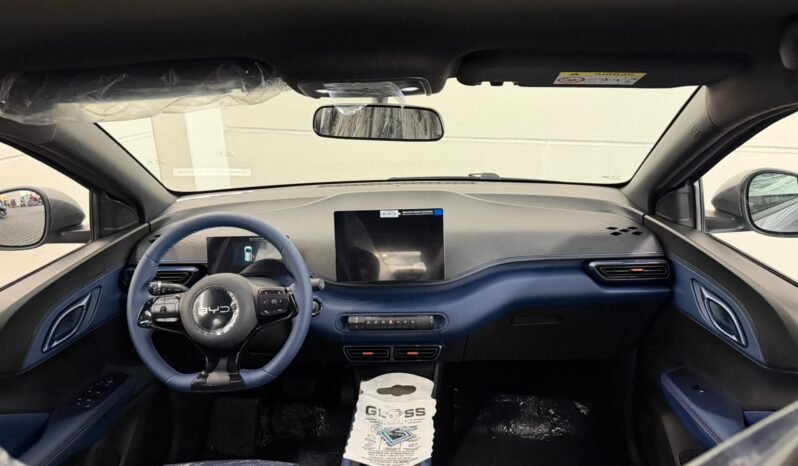 BYD Dolphin Mini GS 2027 completo