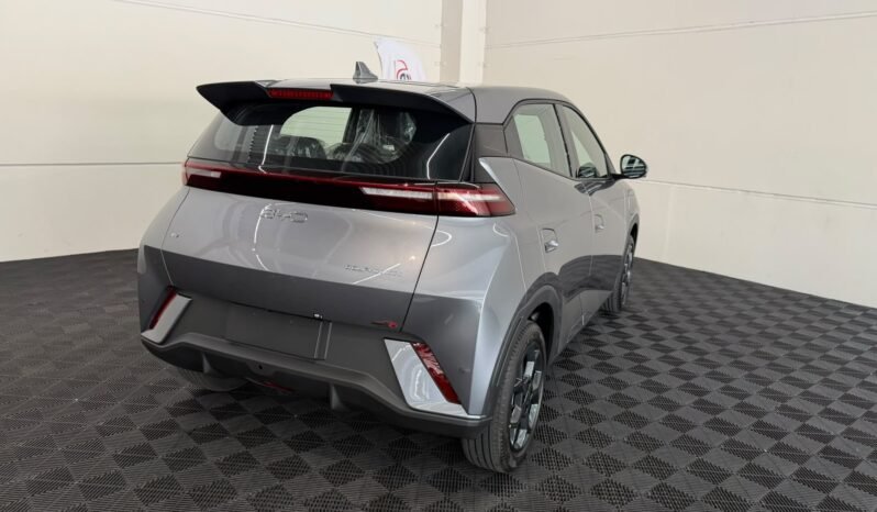 BYD Dolphin Mini GS 2027 completo