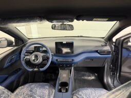 BYD Dolphin Mini GS 2027 completo