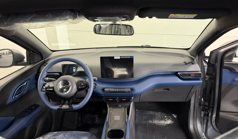 BYD Dolphin Mini GS 2027 completo